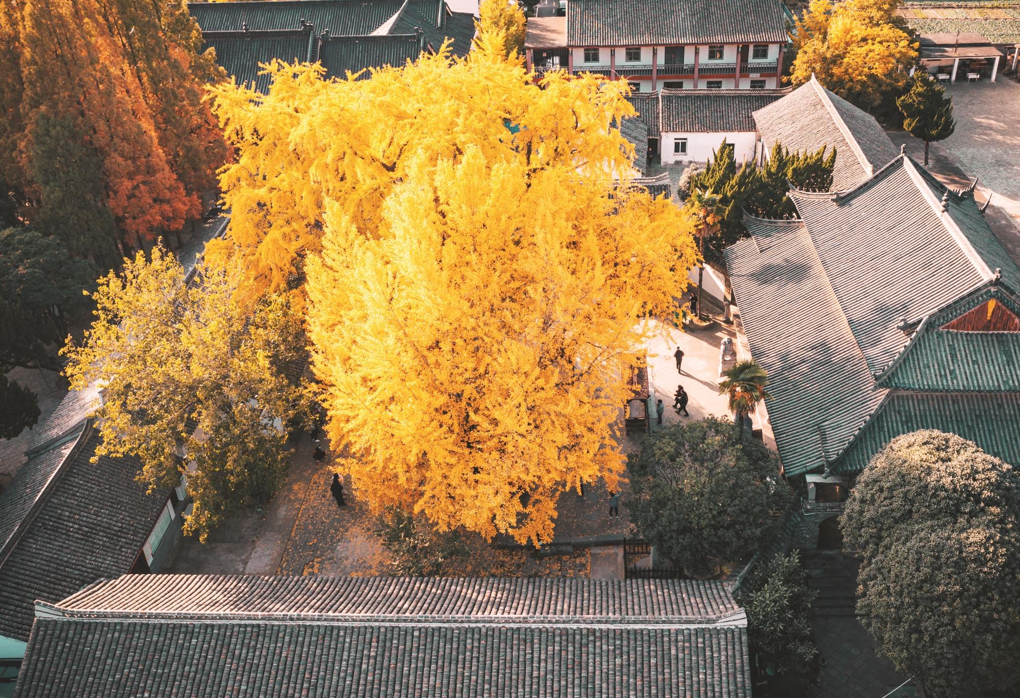 淮南寿县旅游景点图片